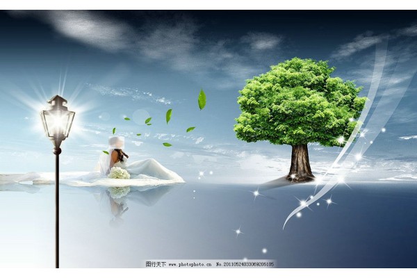 武汉礼品茶，品味人生每一刻